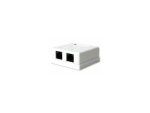 RCT- CAT6 Wallbox Dual Port