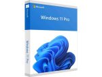 Windows 11 Professional Full Install - Download