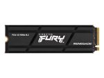 Kingston nGff 500GB FurY Rene+K