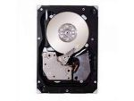Seagate ST9500431/620ss 500GB SAS6