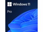 Windows 11 PROFESSIONAL  - FPP