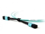 Acconet Patch Lead 12Core MPO Female to MPO Female 1M