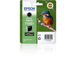 Photo Black Ink Cartridge for Epson Stylus Photo R2000