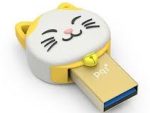 PQI 16GB Connect 303 - Gold