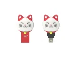 PQI 64GB iConnect 303 - Red
