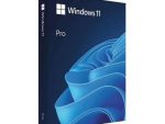 Windows 11 Pro 64BIT ENG 1PK DSP DVD