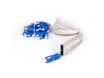 Acconet Fibre Splitter 1/8