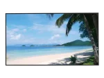Dahua 55'' UHD LED Monitor