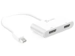 j5create JDA146 Mini Display Port to Dual Display Port Adapter