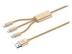 Bound Cord Series 3 in 1 Charge Cable - Gold