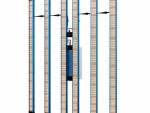Kingbrite P55 480W BAR Grow Light with UV+IR |Samsung LM281B