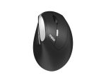 EV250 - Ergo  Wireless Optical Mouse