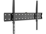 Winx Mount Simple TV Bracket