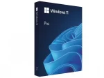 Microsoft Windows 11 Pro ESD
