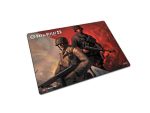 Zboard Day Of Defeat Fragmat - Gaming Mouse Pad