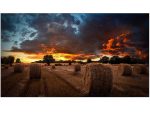 Samsung  55″ Full HD Ultra Narrow Bezel Video Wall Display