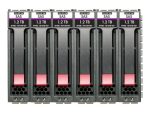 HPE MSA 60TB SAS 7.2K LFF M2 6pk HDD Bdl