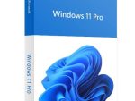 Microsoft Windows 11 Professional 64bit - Components