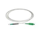 Preterm - LCAPC - SCAPC 10m White