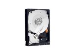 Dell 8TB Hard Drive SAS 12Gbps  7.2K 512e 3.5in Cabled Customer Kit