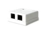 CAT6 Wall Box - Double