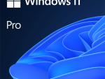 Microsoft Windows 11 Professional DVD Single User License, DSP , No Warranty on Software