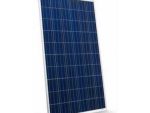 CNBM - Solar Panel, Monocrystalline Silicone Module Solar Panel, 330W