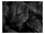 Feathers Hob Splashback (898 X 700 X 6mm)