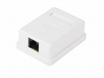 Cattex CAT6 Single Wall Box - Networking