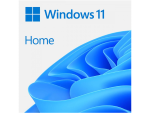 Microsoft Windows 11 Home Single-User ESD License