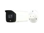 Dahua Dome 2 MP 30m IR 3.6mm With Audio W/Mind