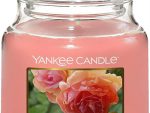 Yankee Candle Sun Drenched Apricot Medium Jar