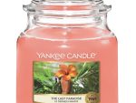 Yankee Candle Last Paradise Medium Jar