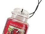 Yankee Candle Red Raspberry Car Jar