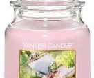 Yankee Candle Sunny Daydream Small Jar