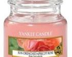Yankee Candle Sun Drenched Apricot Small Jar