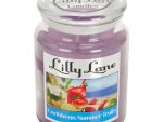 Lilly Lane Caribbean Summer Fruits Scented Candle Large