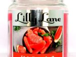 Lilly Lane Grapefruit Scented Candle Large Lidded Mason