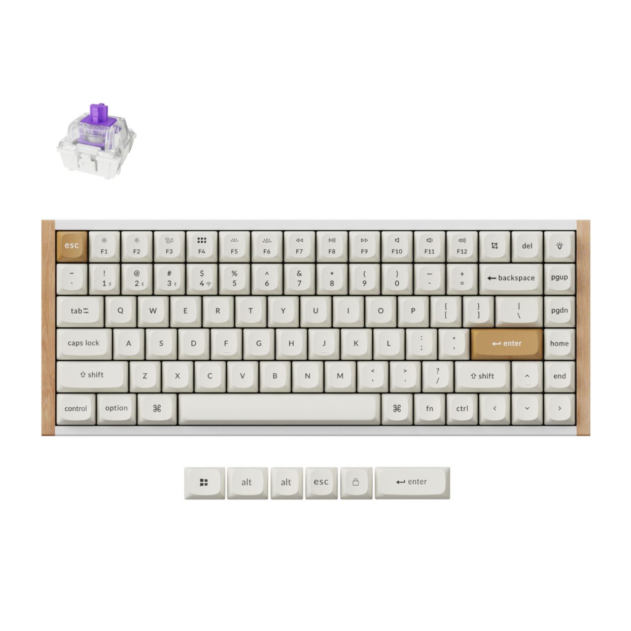 Keychron K2 HE Wireless Special Edition Magnetic Custom Keyboard | NEB