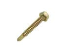 Self Drill Screws (P10 m5x20)