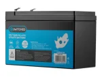 Switched  LifePo4 Gate Motor / Alarm Battery