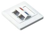NetiX Angled Face Plate Dual Port with Shuttle