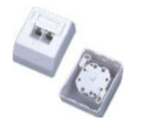 NetiX UTP CATE Wall Mount Box W/ PCB Dual Port