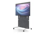 Neat Adaptive stand offers flexibility with easy movement between spac
