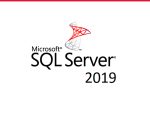 Microsoft SQL Server 2019 Standard Edition