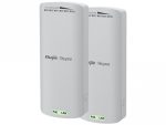 Reyee 2.4GHz 300Mbps 8dBi 70? Pre-Paired Kit - Networking