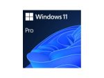 Microsoft Windows 11 Pro (License only / No DVD)