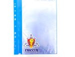 Tweety 11 Holes 10 Pockets Data Book