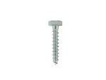 Coach screws only - 10 x 60
