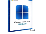 5-pack of Windows Server 2025/2022 User CALs (STD or DC), Cus Kit